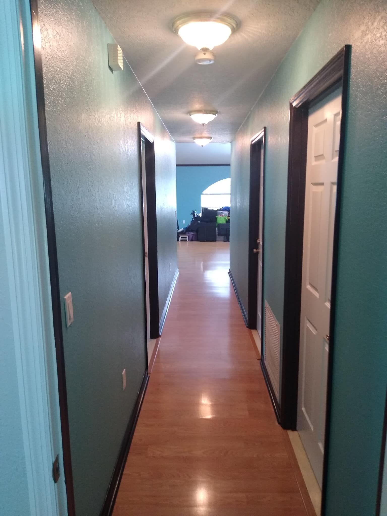 Long hallway with teal walls, wood floor, white doors, and ceiling lights.