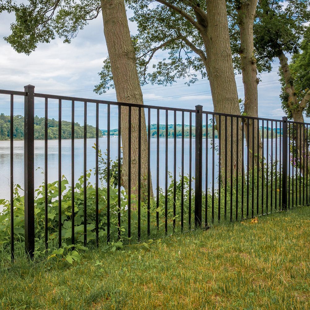 Black metal fence overlooking a grassy lakeside with trees and calm water