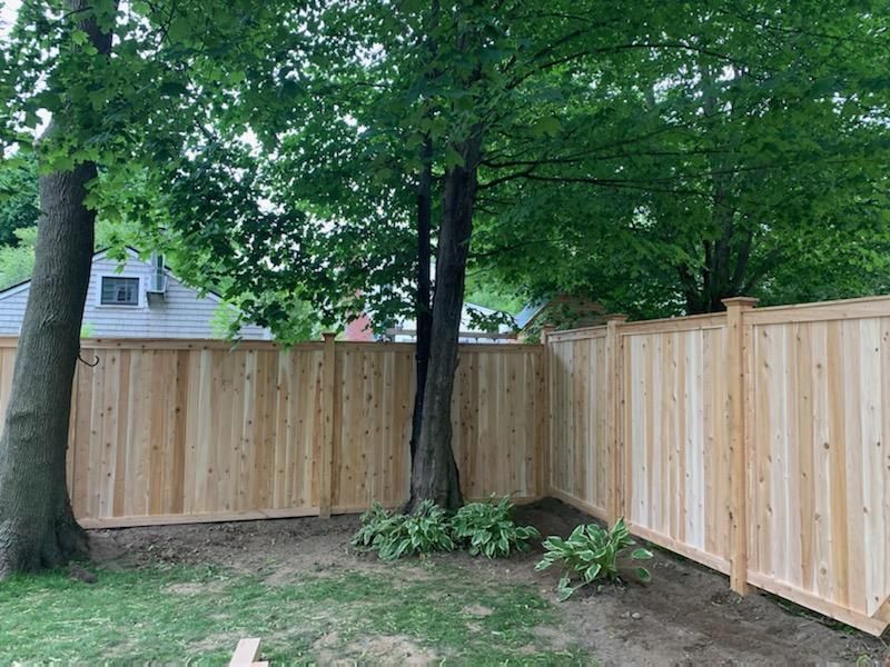 Wooden privacy fence around a leafy backyard with trees and shrubs.