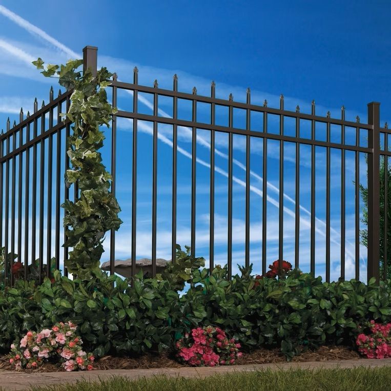 Black metal fence with climbing vines and colorful flowers against a blue sky