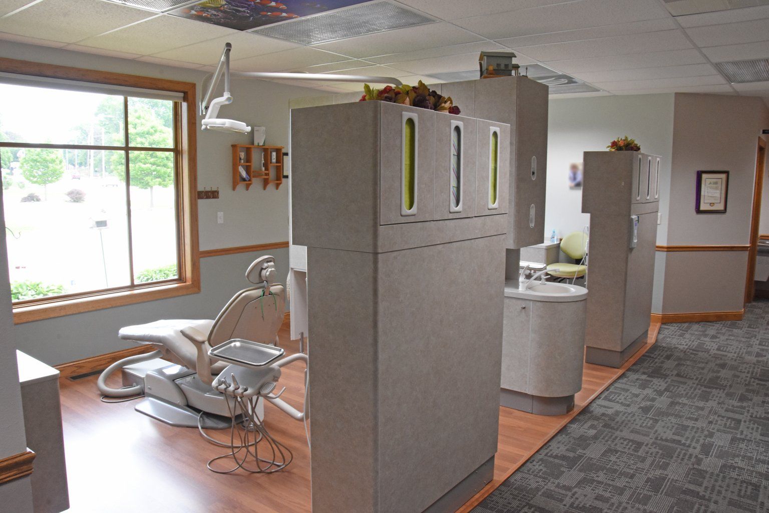 Anamosa Dental room division