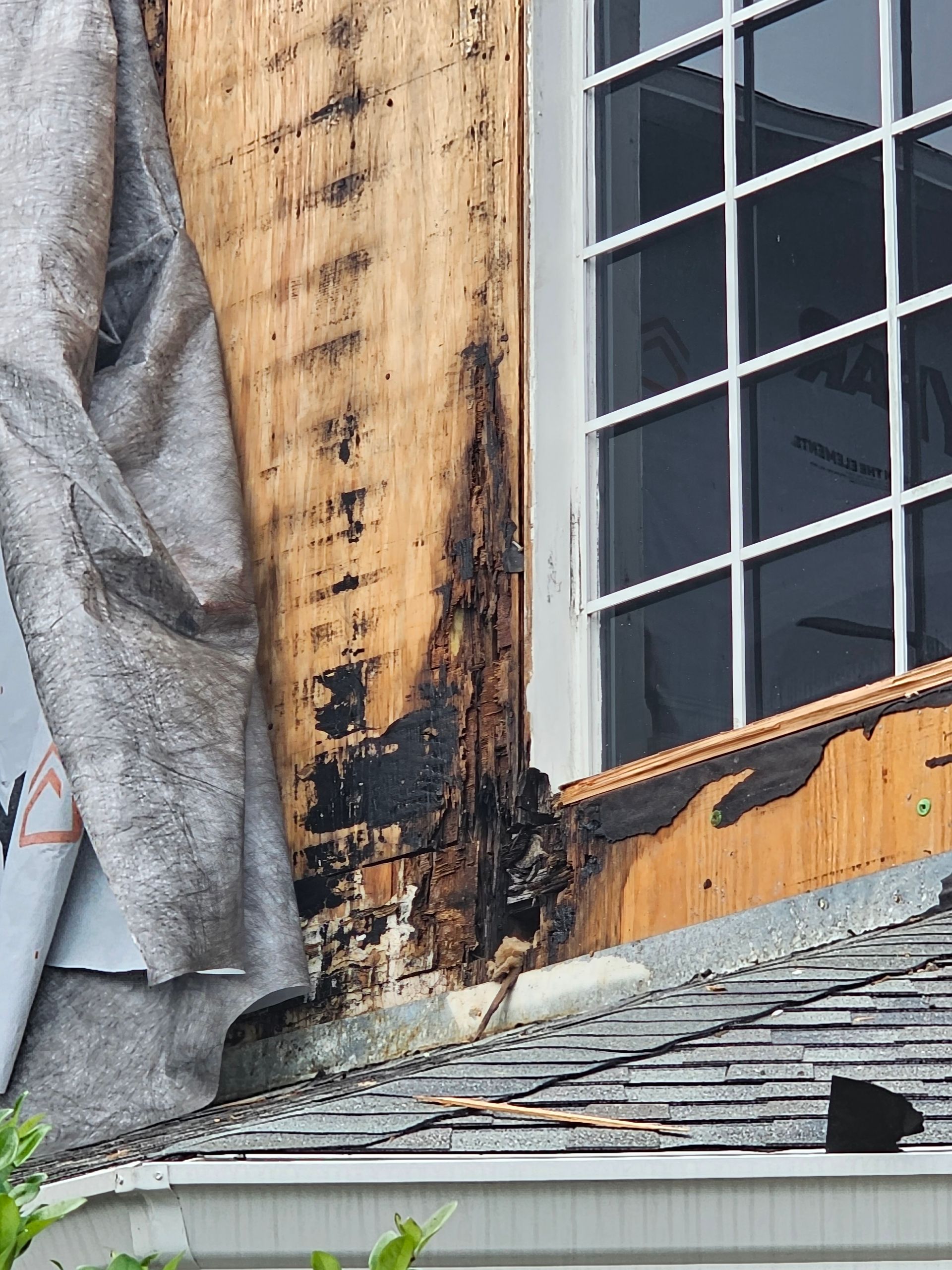 Damaged wooden house trim and siding near a window, with water stains and a tarp on the left