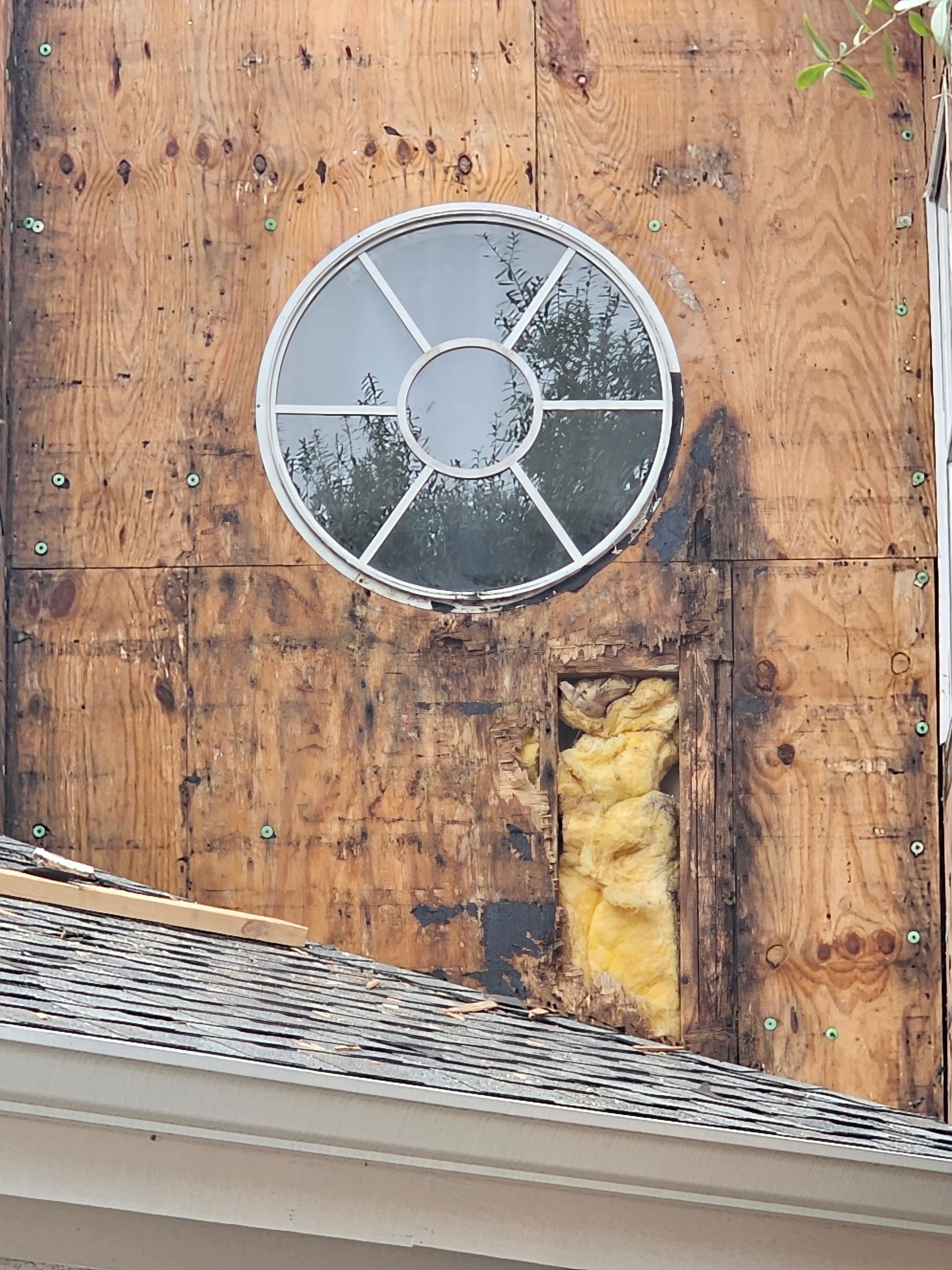 Round vent in exposed plywood wall with a strip of yellow insulation and roof edge below