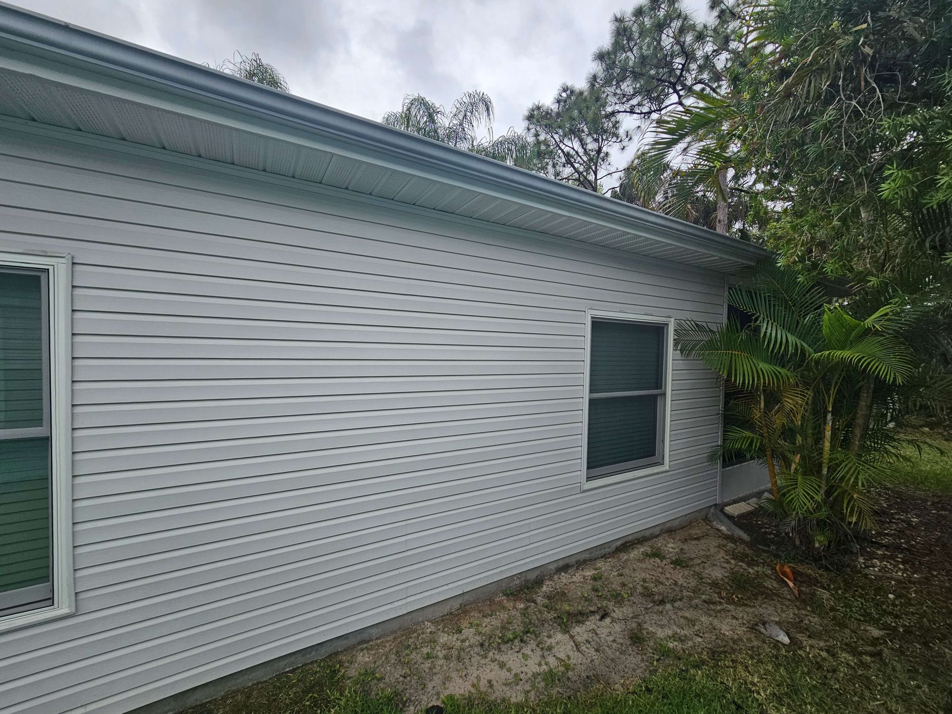 White vinyl house siding with two windows and a tree-lined yard along the foundation