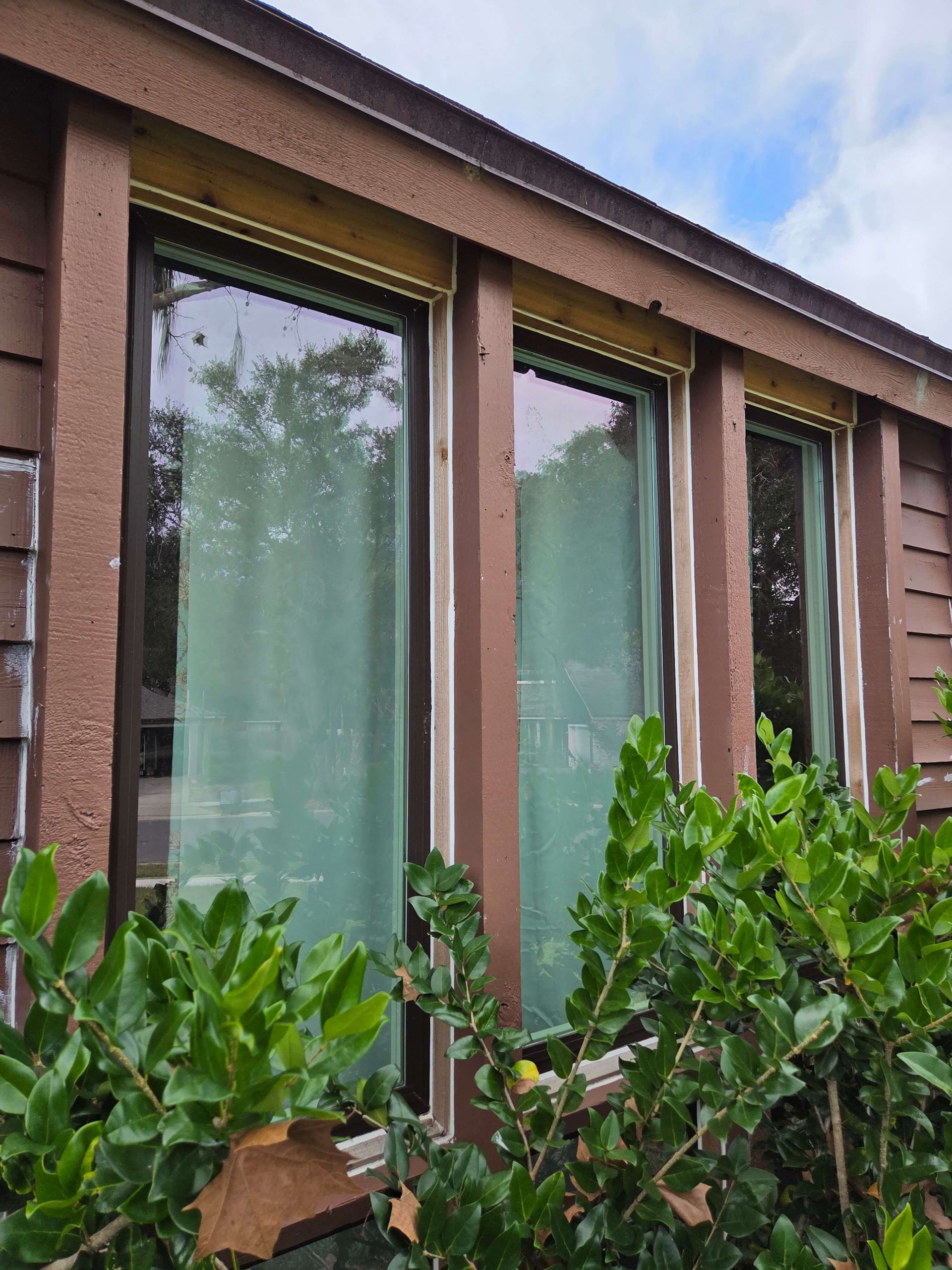 Brown-framed windows on a building exterior, partly hidden by green shrubs.