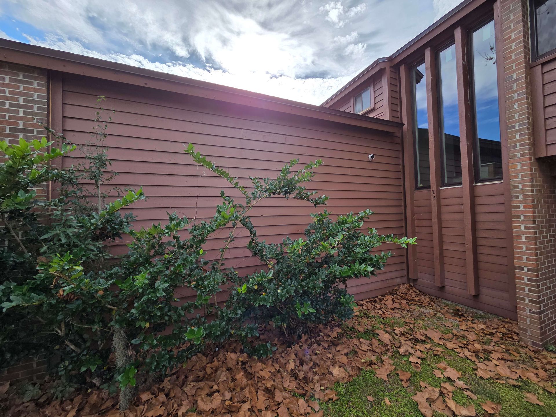 Brick house exterior with brown siding, narrow windows, and leafy shrubs beside a leaf-covered yard