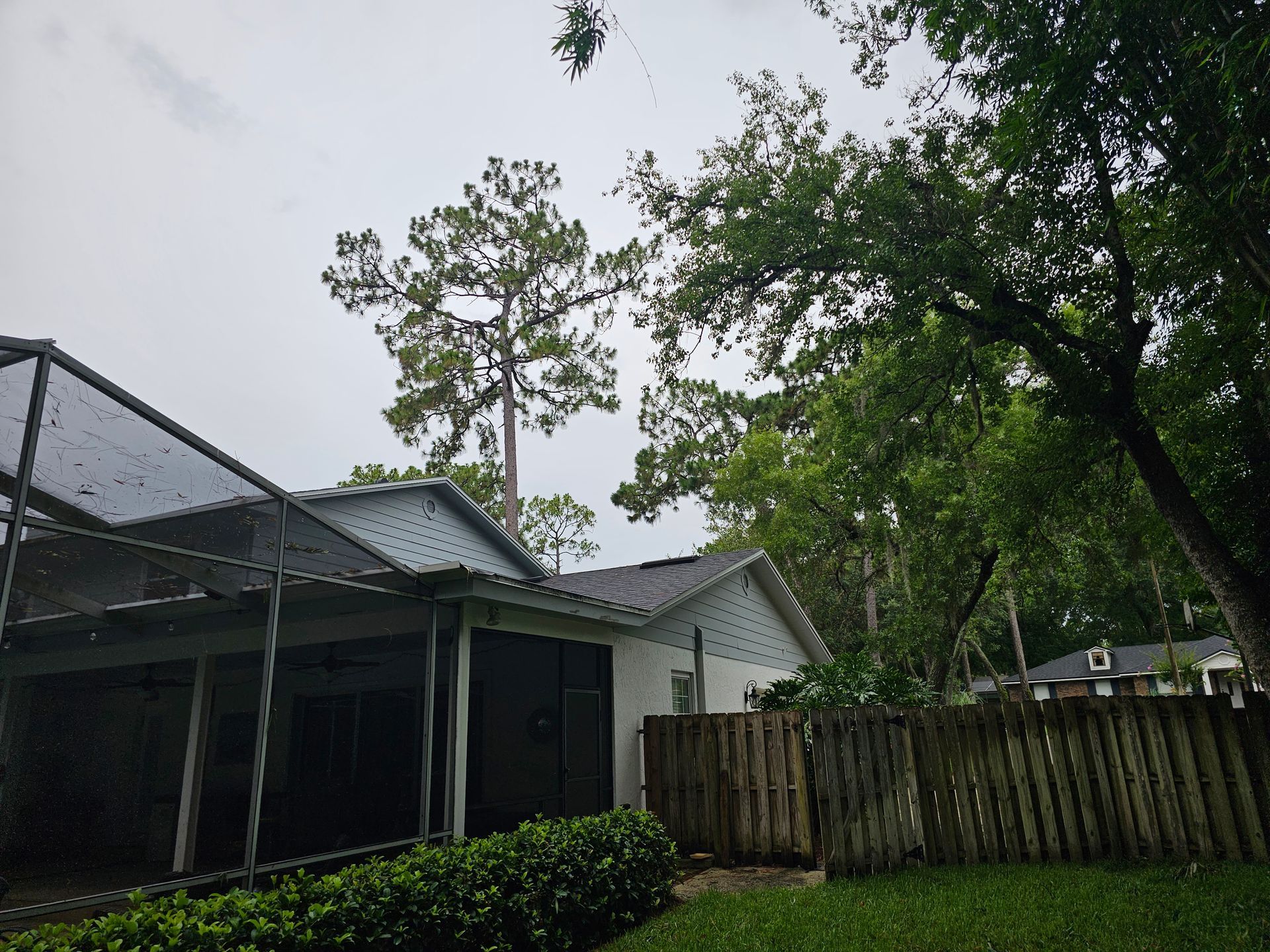 Rainy backyard with a house, wooden fence, and tall trees under an overcast sky