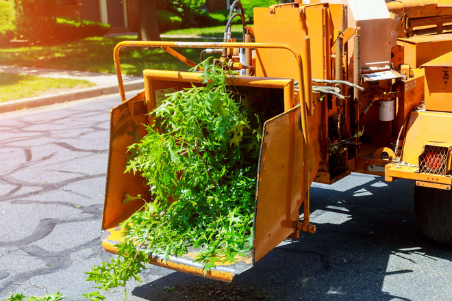 A wood chipper with green leafy branches being fed into its opening on a street.