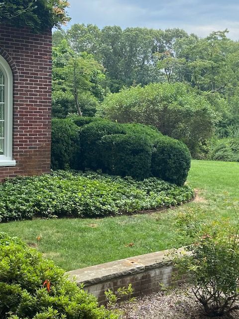 after landscaping services