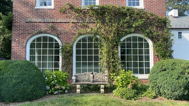 before landscaping work