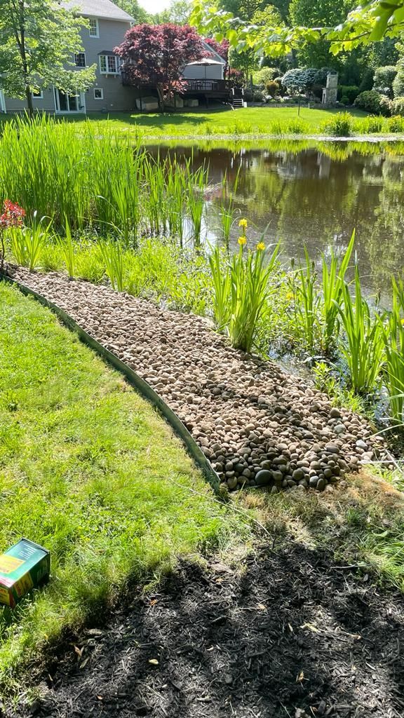 landscape cleanup service