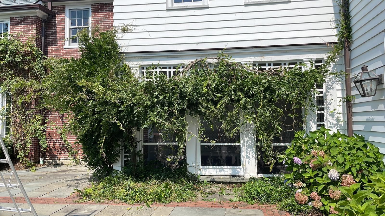 before residential landscape trim