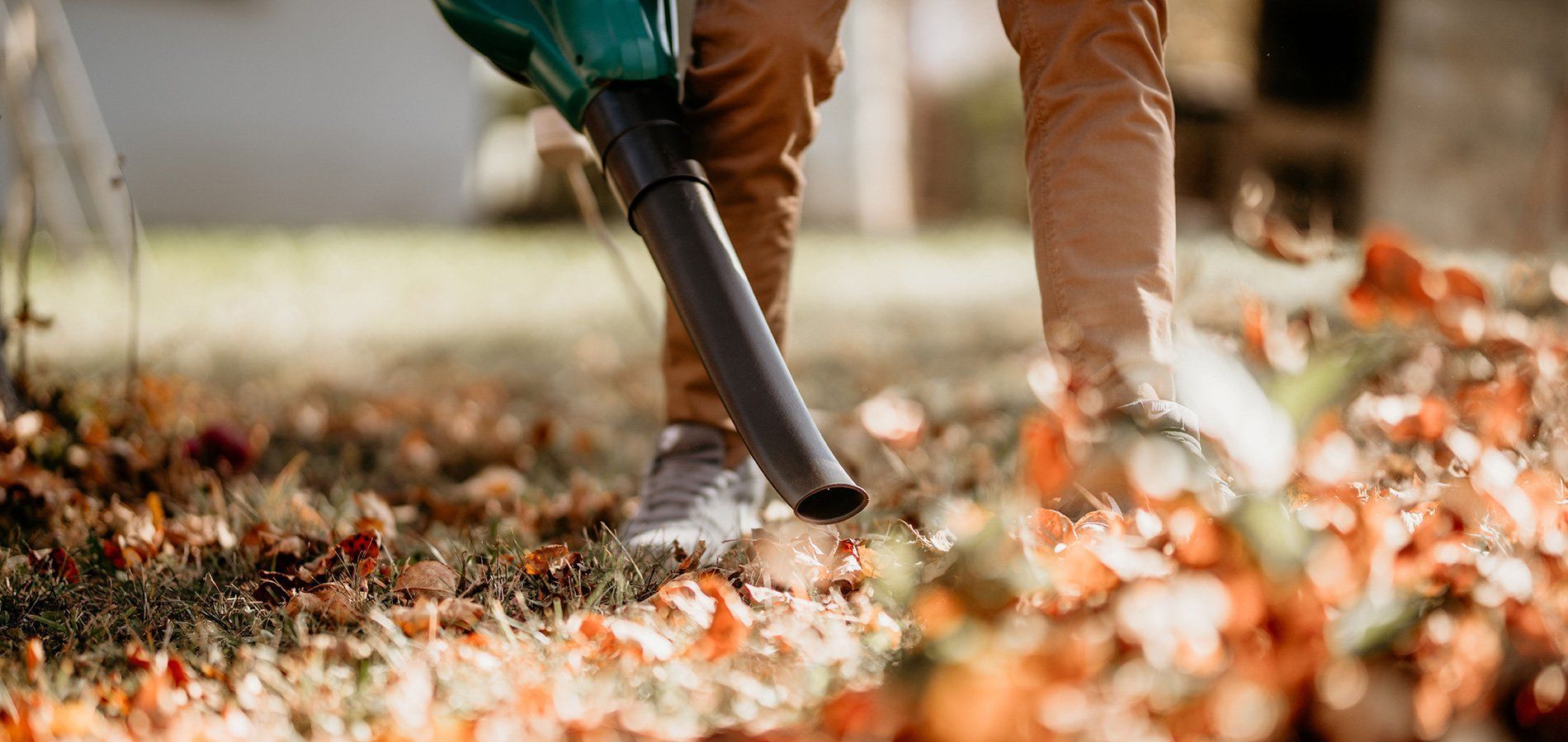 Yard cleanup