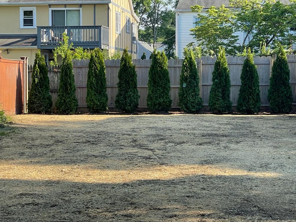 a yard with a fence and trees in front of a house .