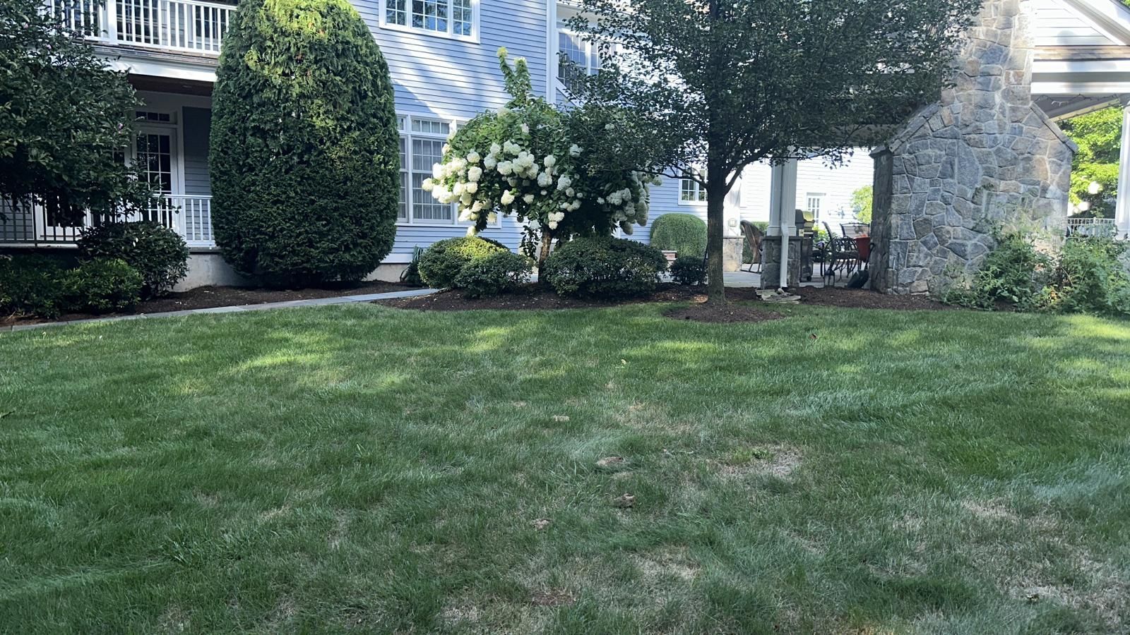 a large lush green lawn in front of a house .