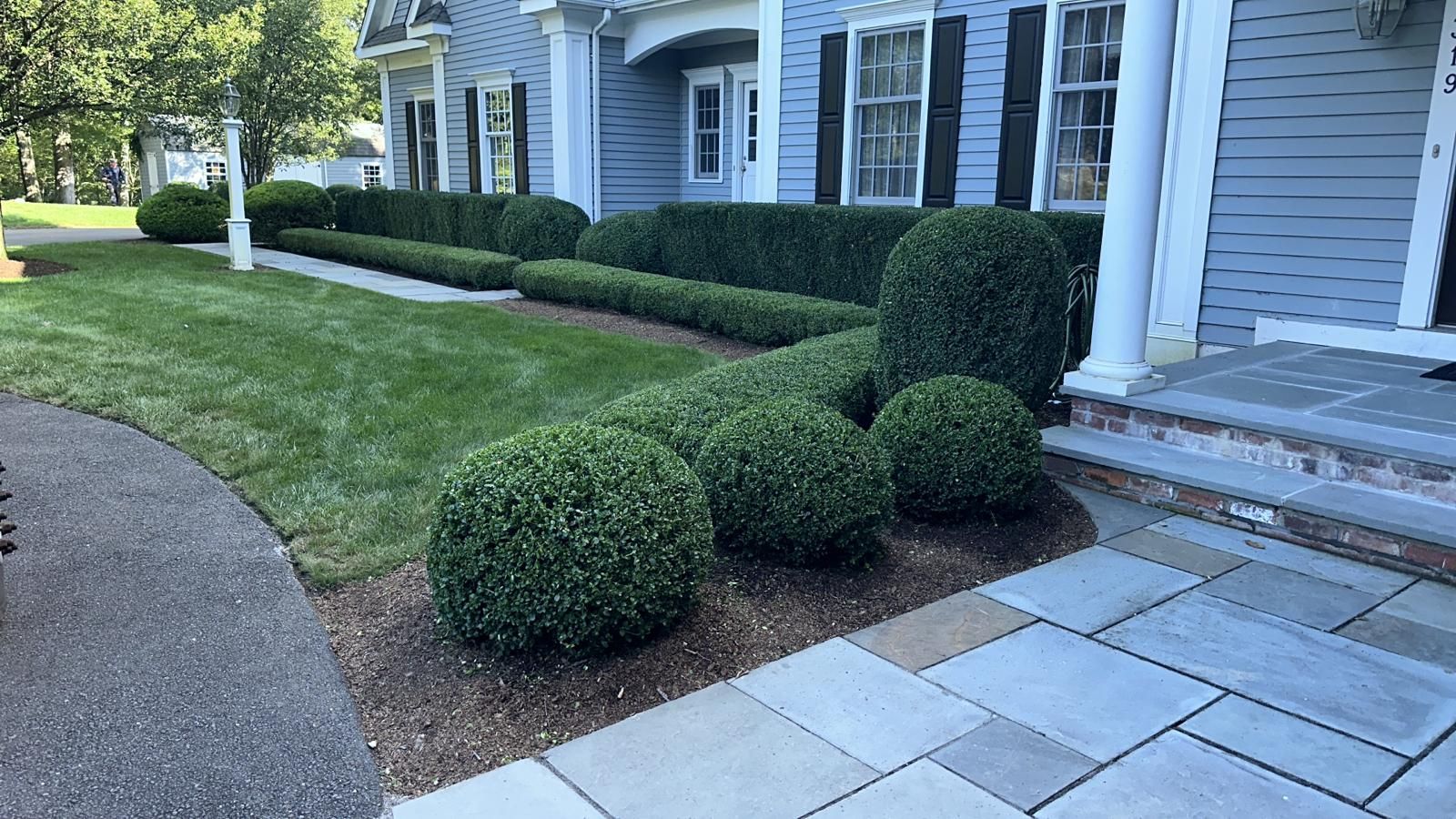trimmed green bushes next to a paver walkway