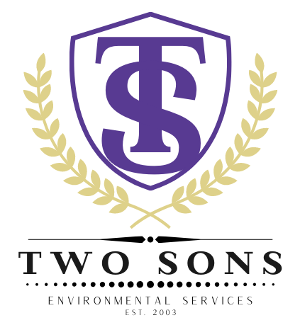Two Sons Environmental Services - Logo