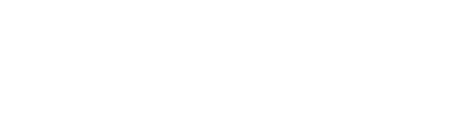 Brothers The Police Store logo