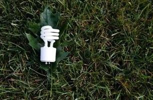 Compact fluorescent lightbulb on a green leaf atop a bed of grass.