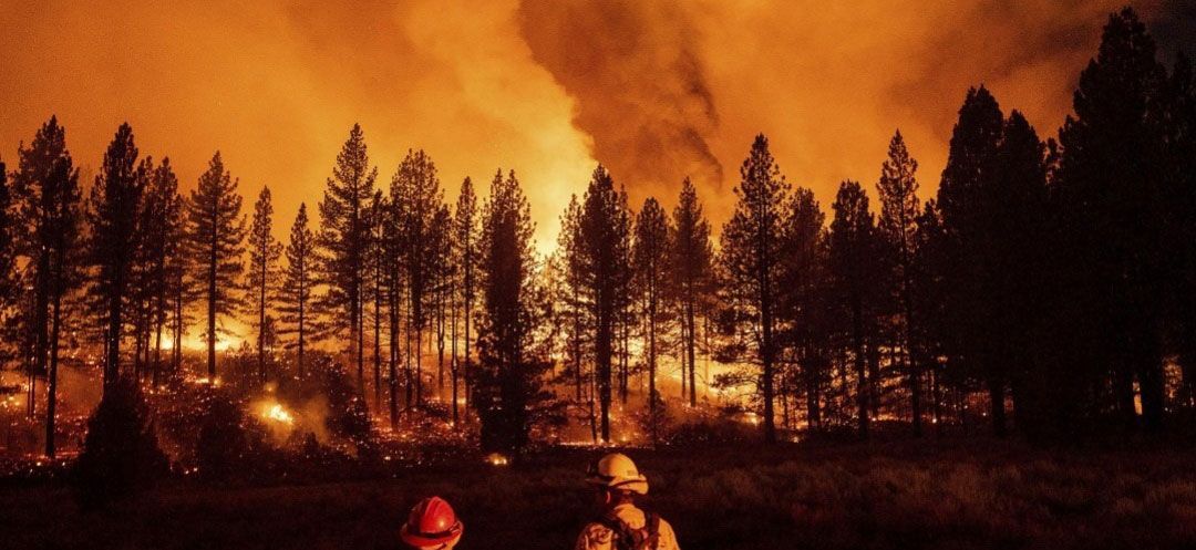 Wildfire engulfs a forest at night, trees silhouetted against an orange sky. Firefighters in helmets stand in the foreground.
