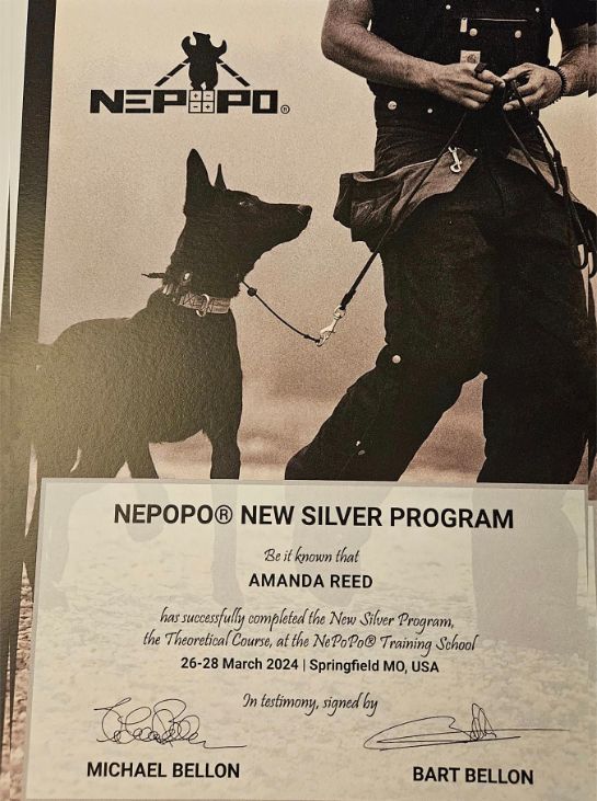 Nepopo New Silver Program certificate of Amanda Reed