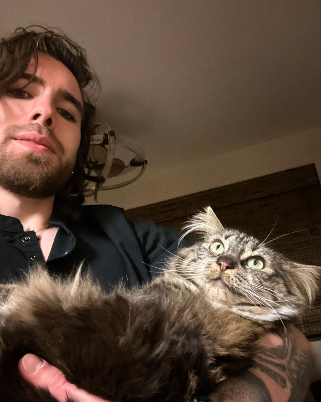 A person holding a large, fluffy tabby cat in their arms. Both are looking toward the camera in a dimly lit room. 