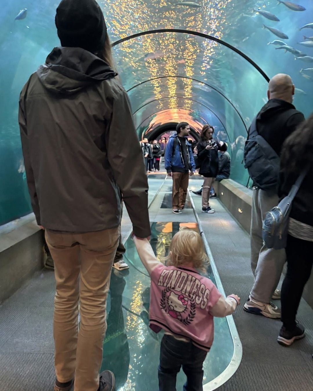 A person holds a child's hand while walking through an aquarium tunnel surrounded by glass, water, and swimming fish. 