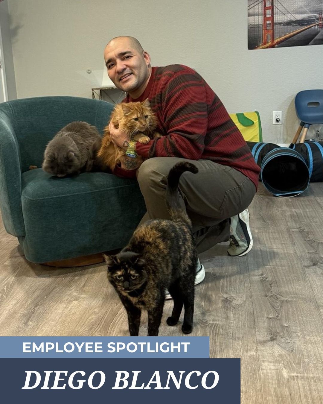 Diego Blanco poses with three cats in a room, with a caption identifying him as an employee spotlight. 