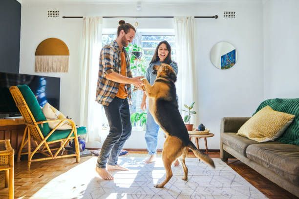 Couple and dog playing in living room with a window, rug, and furniture.