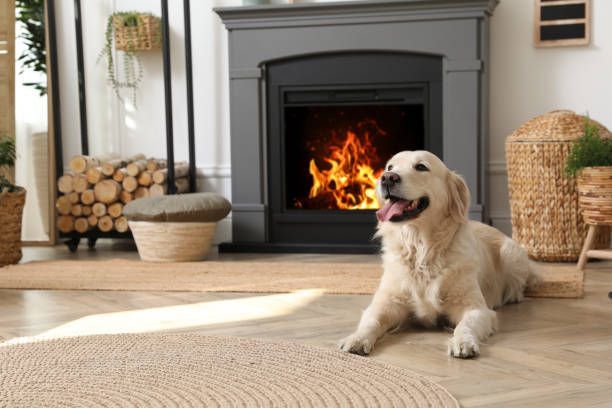 Golden retriever dog lounging in front of a fireplace with flames. Warm colors, cozy interior.