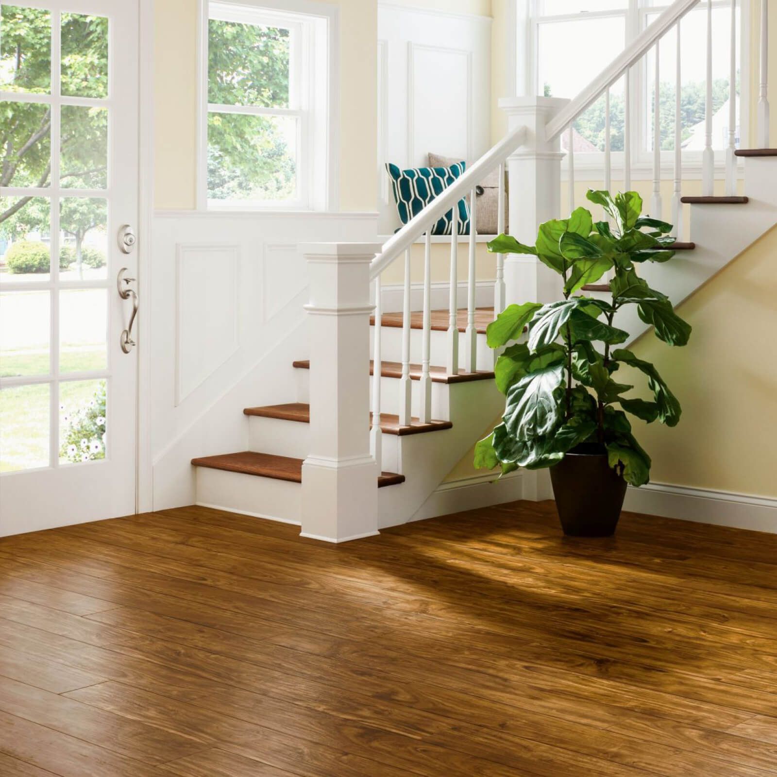 Wooden floor in a bright entryway, with staircase and leafy plant. Natural light streams in through a glass door.