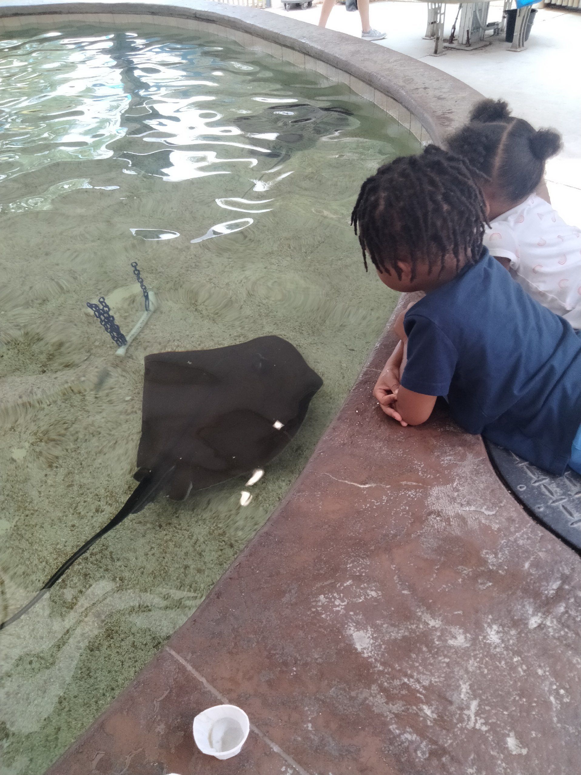 Stingray and kid