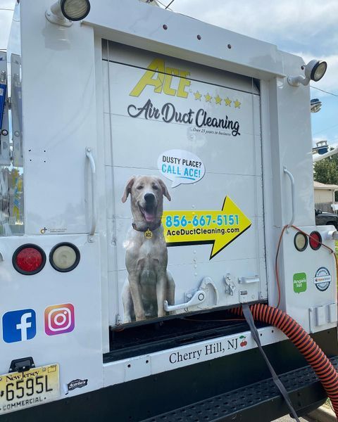 Dog sitting on an air duct cleaning truck with logo, phone number, and social media icons.