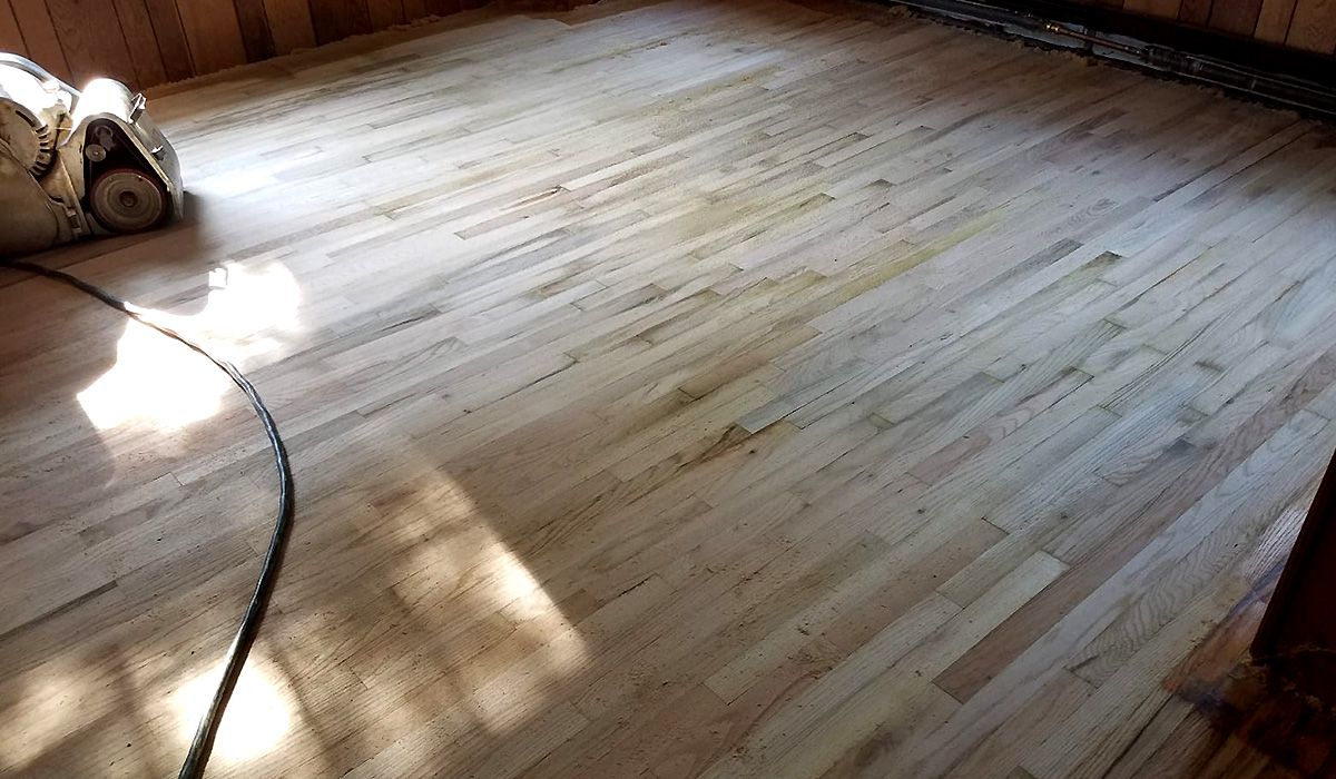 Sunlit wooden floor with a black cable and a toy cat in the corner
