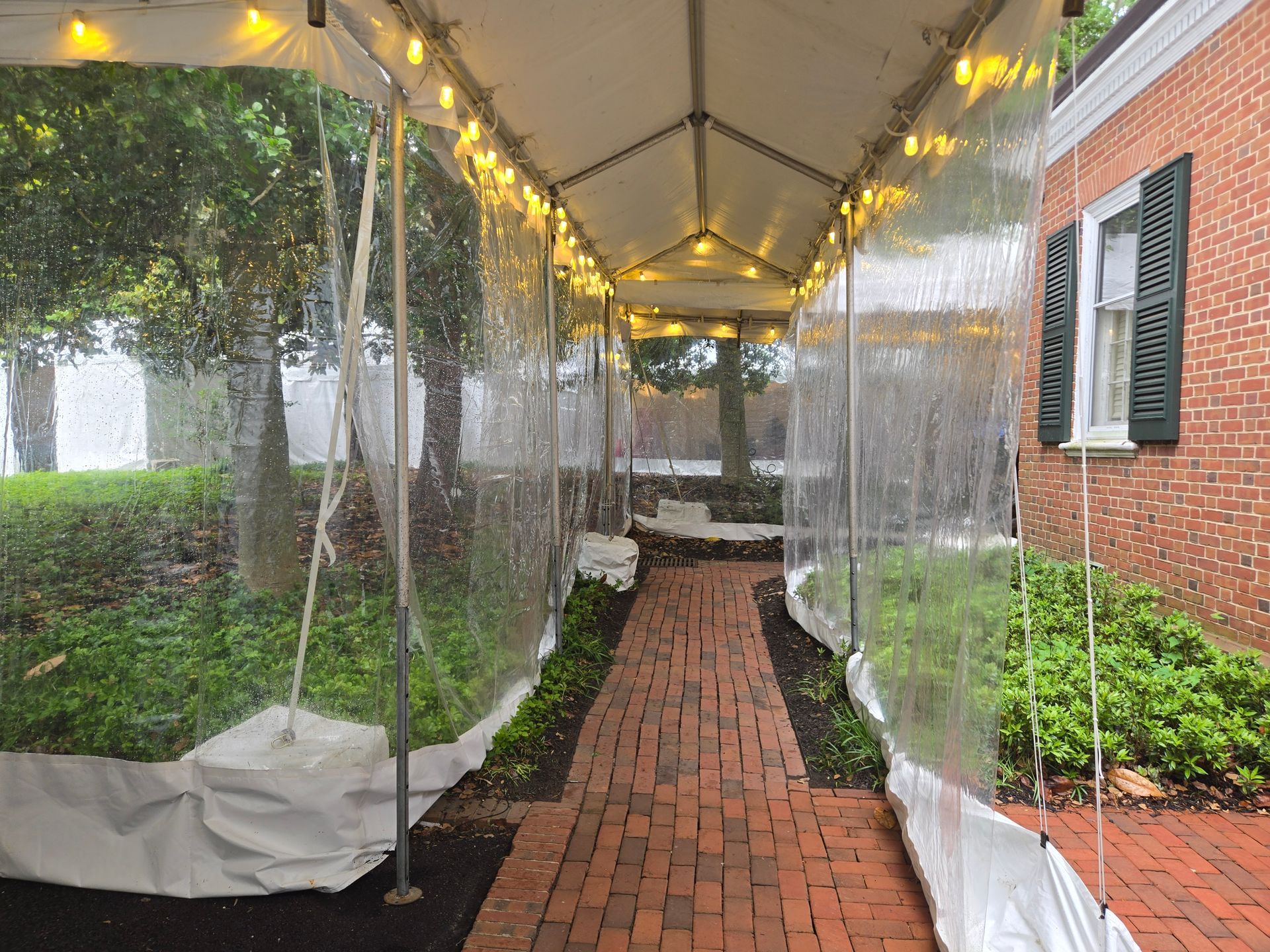 Clear tent walkway with string lights over a brick path, flanked by greenery and a brick building.