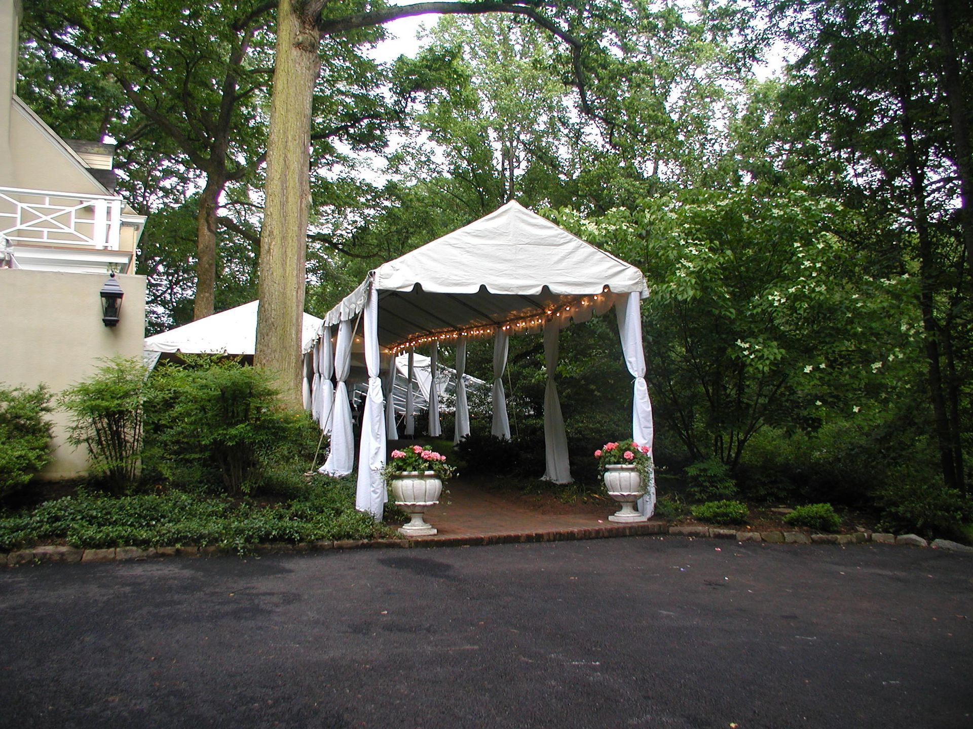 White tent entrance decorated with lights and fabric, set on brick with trees and bushes.