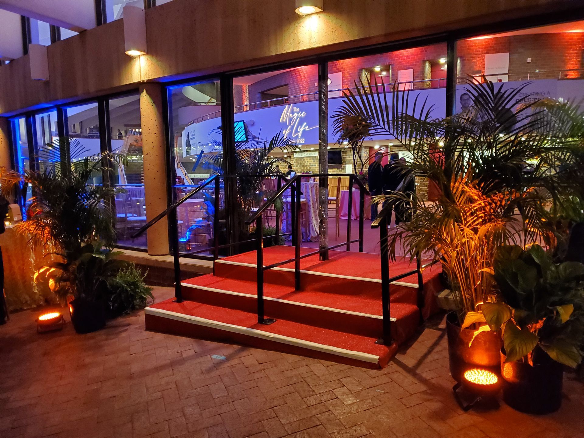 Entrance with red carpeted steps, plants, and glass windows. Lit up with various colored lights for an event.