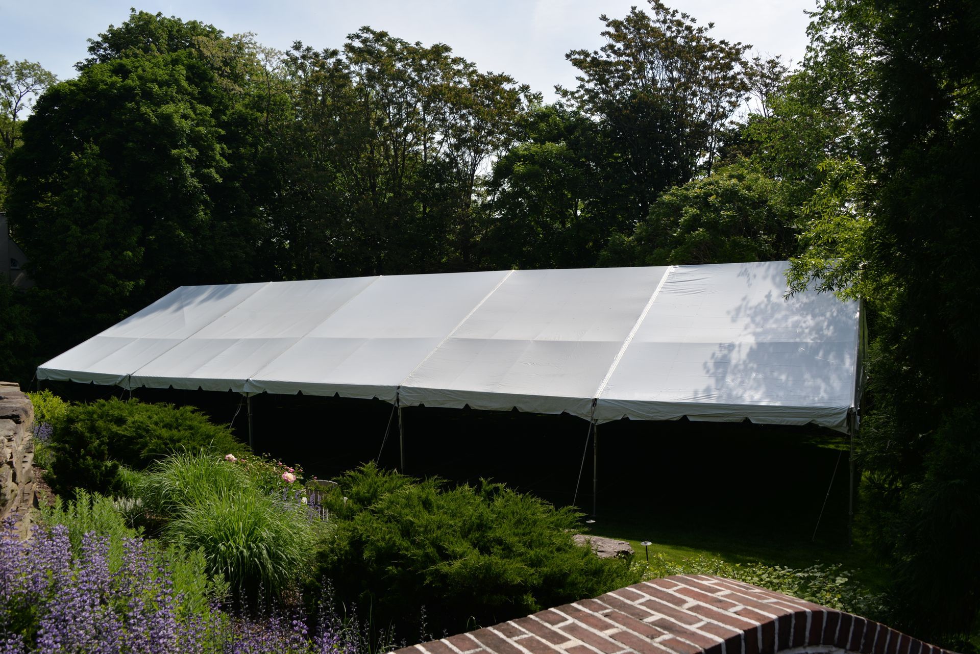 White tent set up in a garden, surrounded by green bushes and trees on a sunny day.