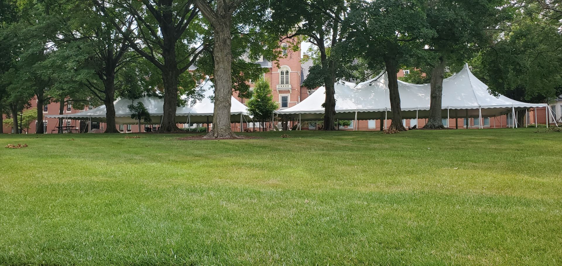 Green lawn with large white tents and a brick building in the background, framed by trees.