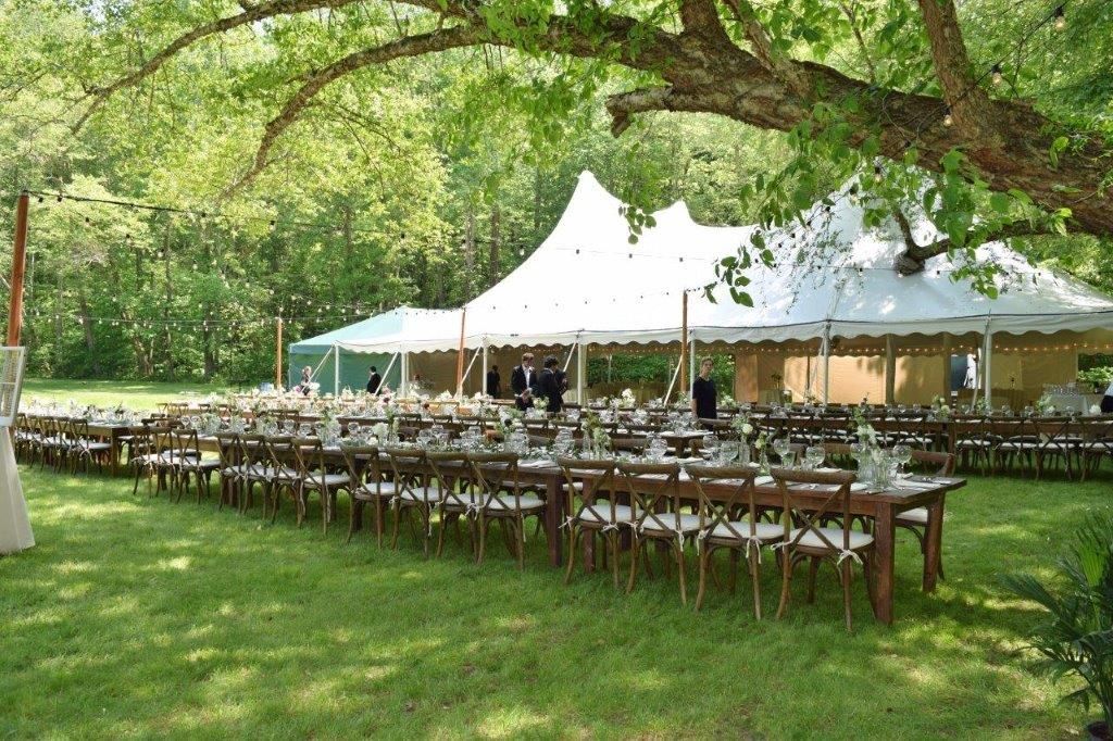 Wedding reception in a green field with long tables, chairs, and white tents under a tree.