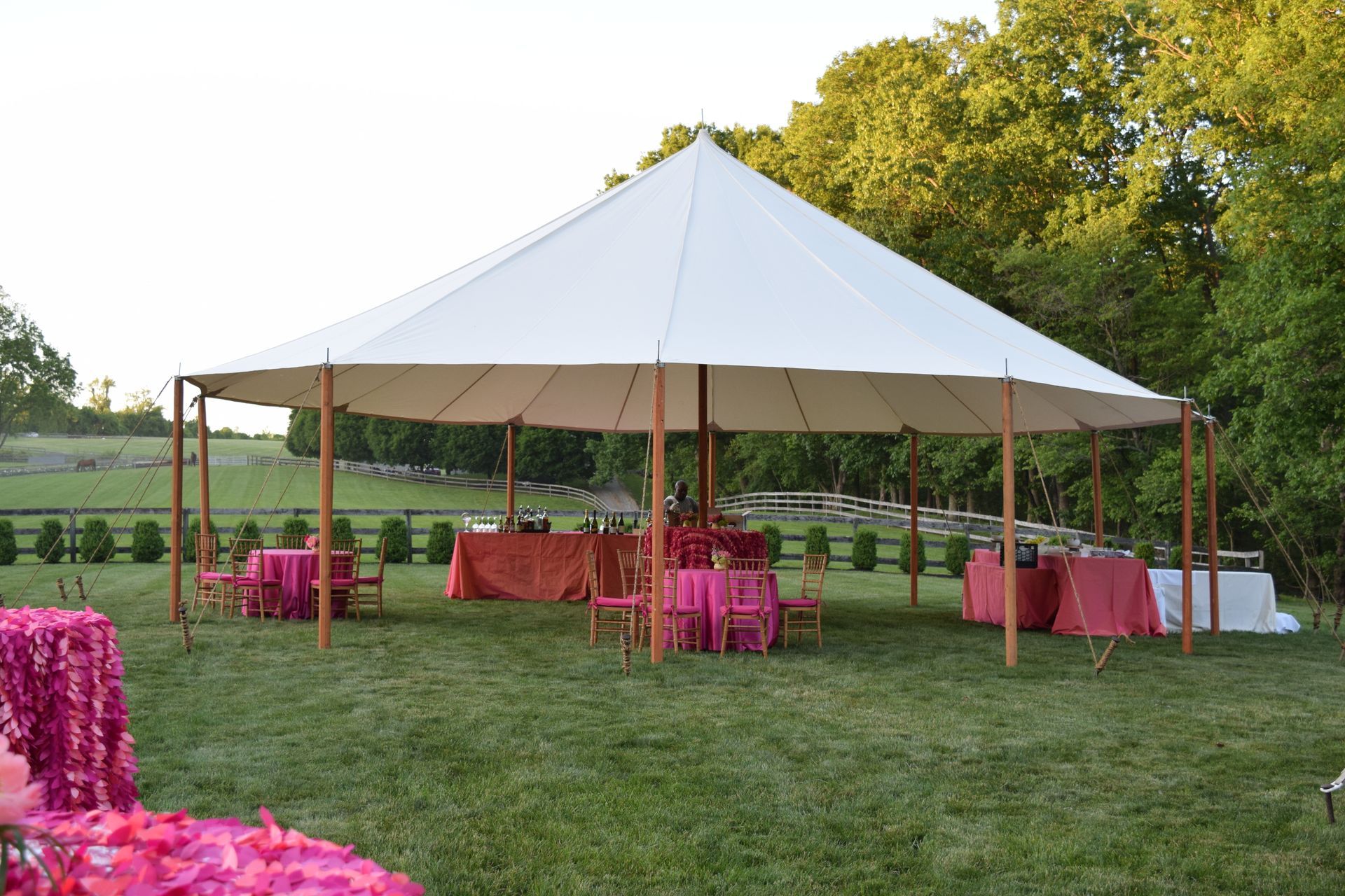 A large white tent set up on grass, tables with pink linens, woods in the background.