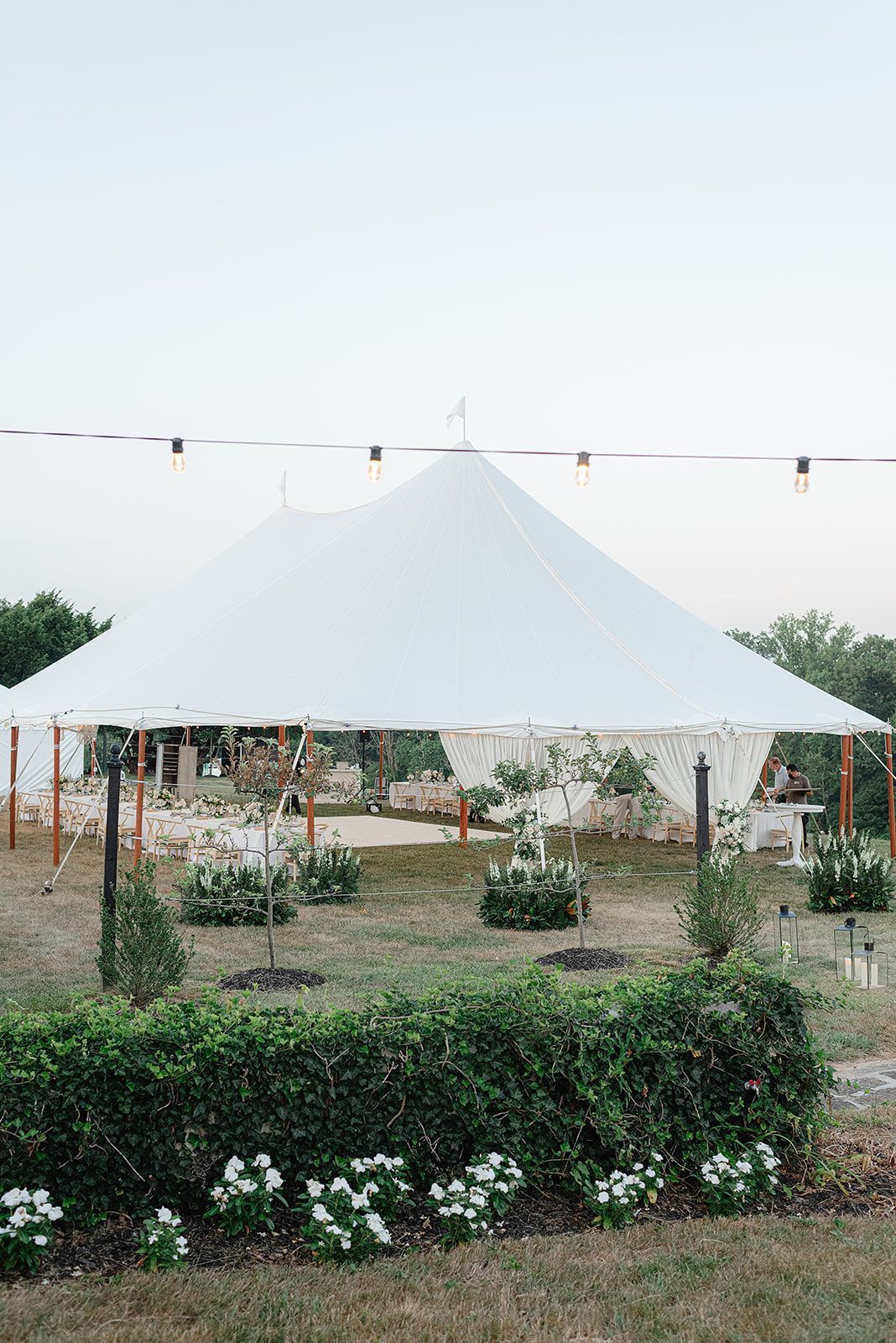 White tent set up on a grassy lawn, surrounded by hedges and small trees, with string lights overhead.