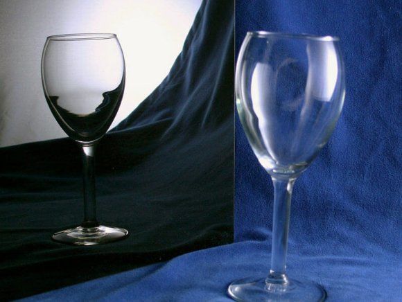 Tall Gourmet Wine Glass