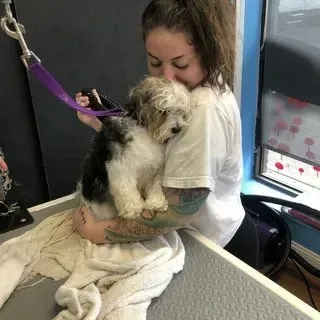 Woman hugs a wet, small dog in a grooming setting; dog has black and white fur.