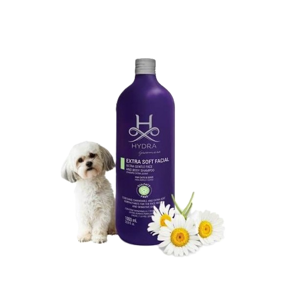 White dog sits next to a purple bottle of dog shampoo Botaniqa and daisies on a white background.