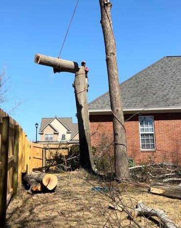A tree is being cut down in front of a brick house.