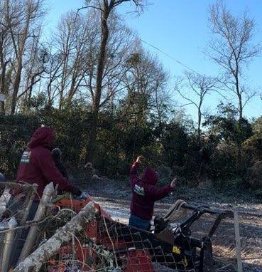 A group of people are riding a sleigh through the woods.