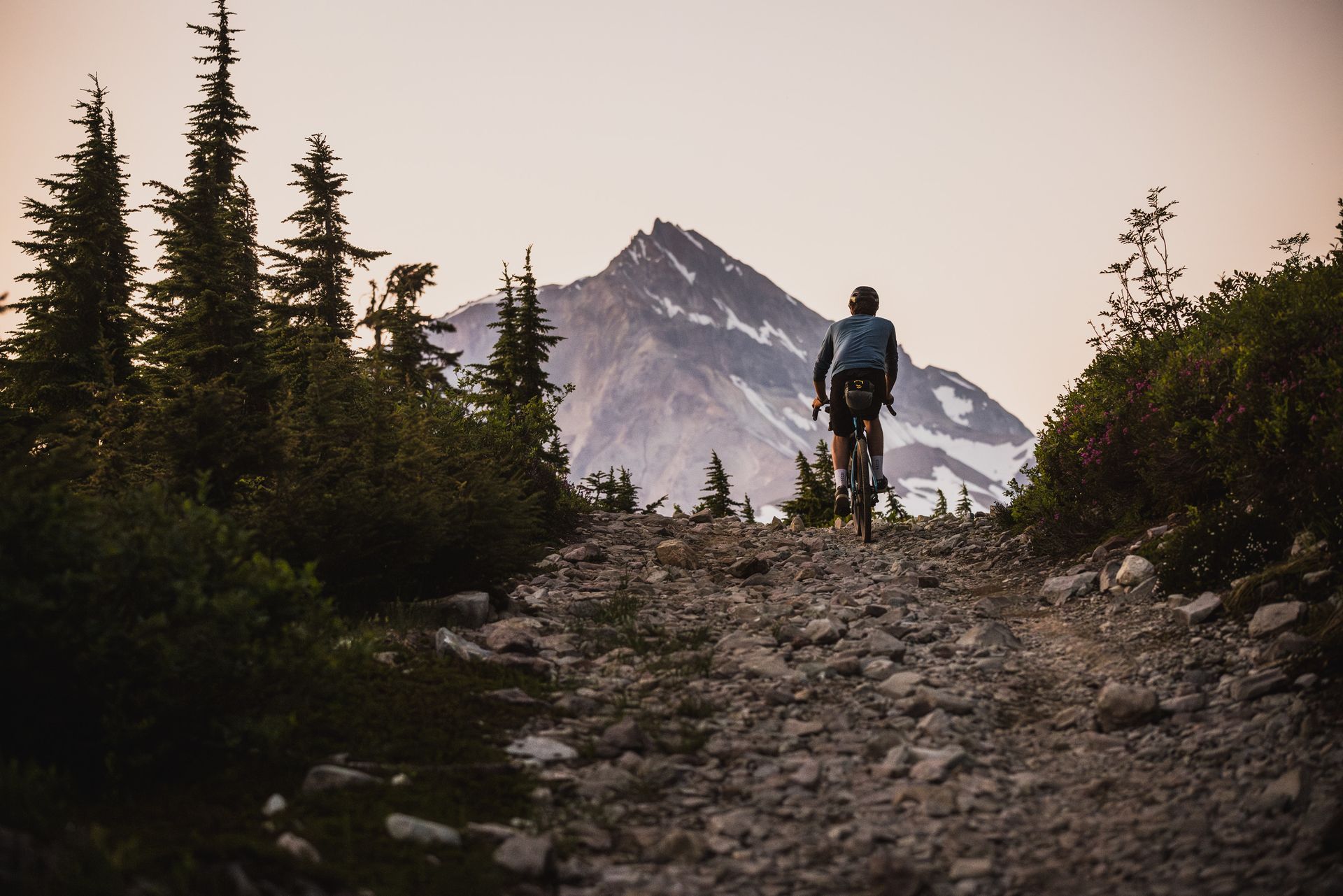 Row of mountain bikes with black tires and colorful frames on display.