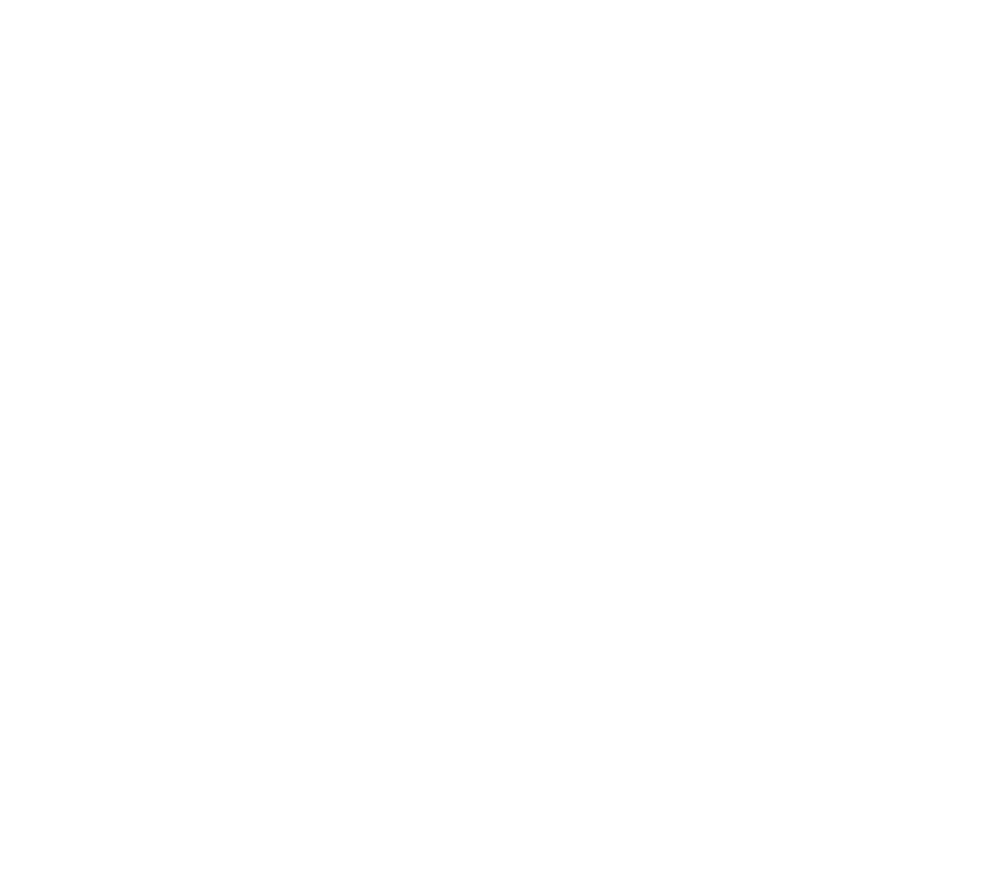The Bike Way - logo