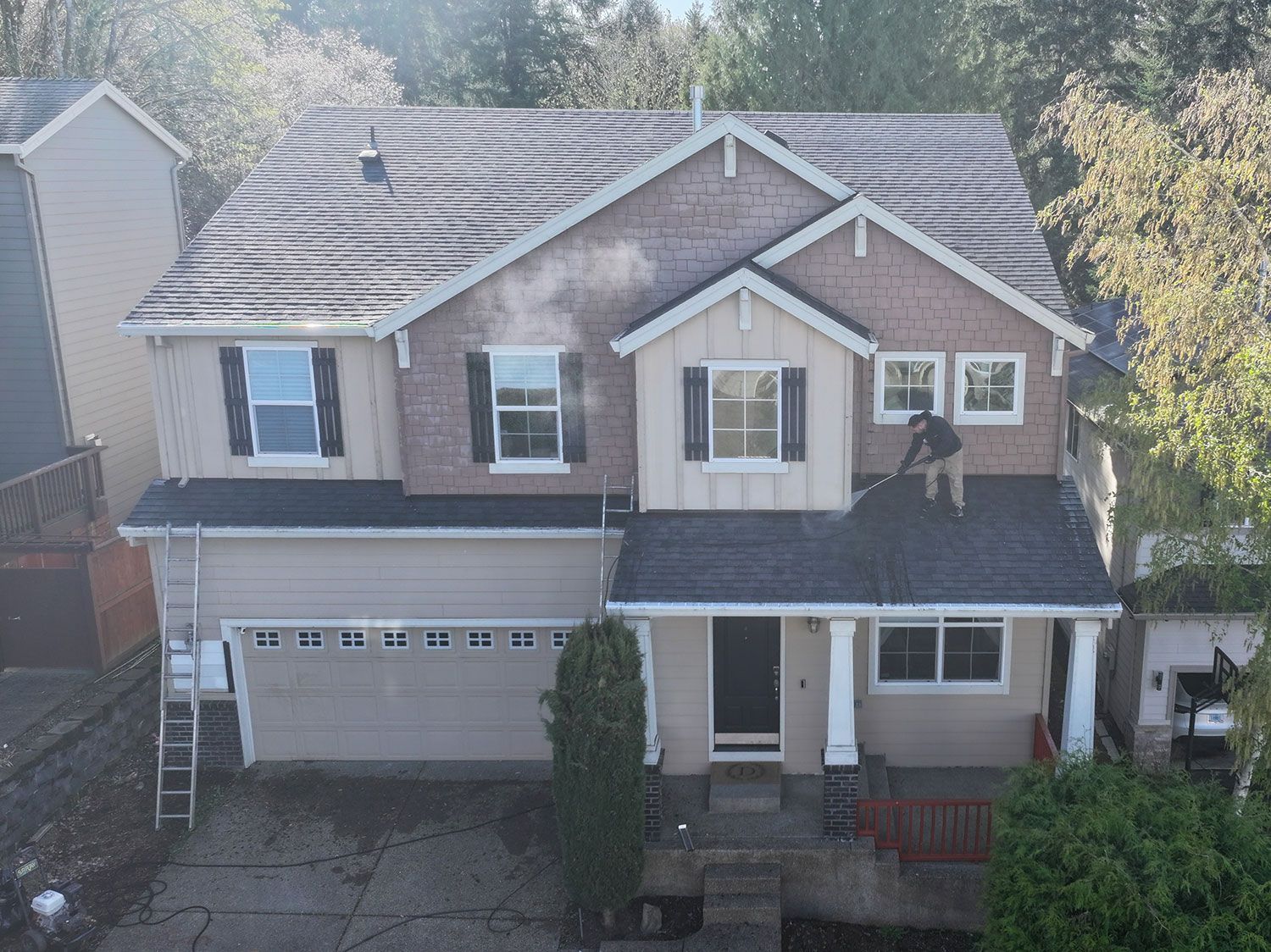 Before Rosie front painted